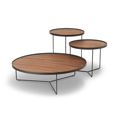 Contemperary Ovaal Mdf Hout en het Vastgestelde Meubilair van de Metaalkoffietafel voor Woonkamer